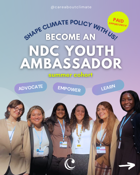 برنامج سفراء المساهمات المحددة وطنيًا (NDC Youth Ambassador) – الدفعة الصيفية 2026