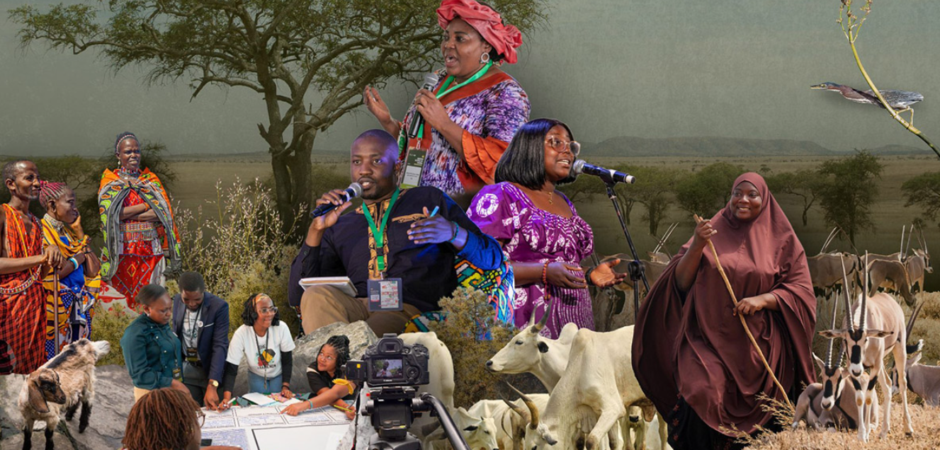 مستشار – منسق المعرفة والتنسيق لمنصة المناظر الطبيعية العالمية (GLF)