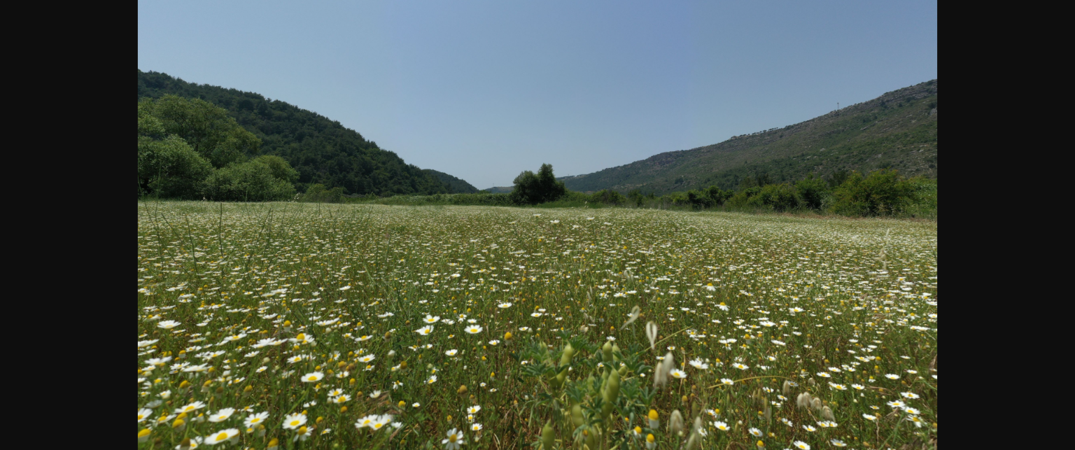 النداء الثالث لتقديم المقترحات في نقطة التنوع البيولوجي لحوض البحر الأبيض المتوسط
