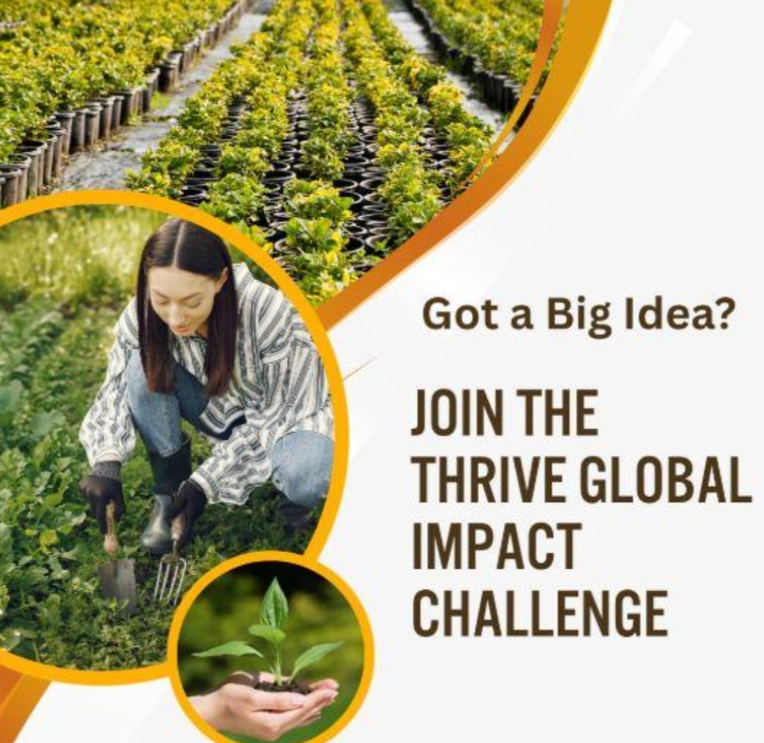 تحدي THRIVE العالمي للتأثير 2026