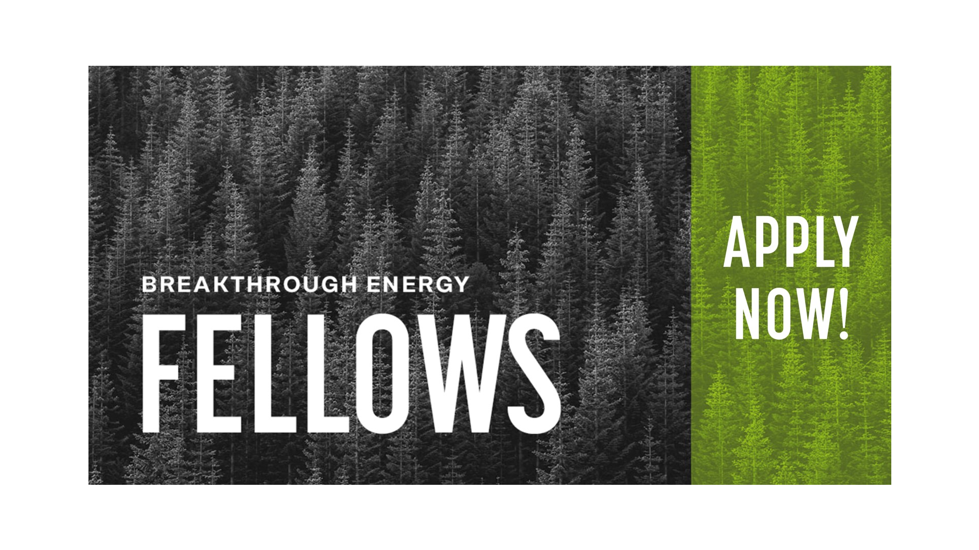 زمالة Breakthrough Energy Fellows لتسريع الابتكار في تقنيات المناخ وإزالة الكربون.