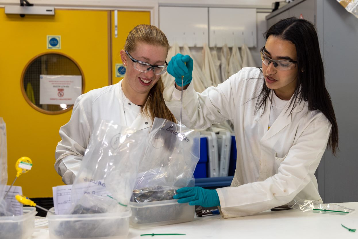 وظيفة باحث / محلل بيانات في المفوضية الأوروبية (JRC) 2026