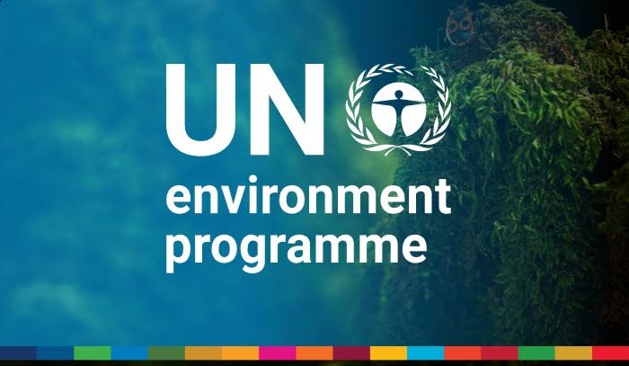 تدريب مبادرة التمويل التابعة لبرنامج الأمم المتحدة للبيئة UNEP