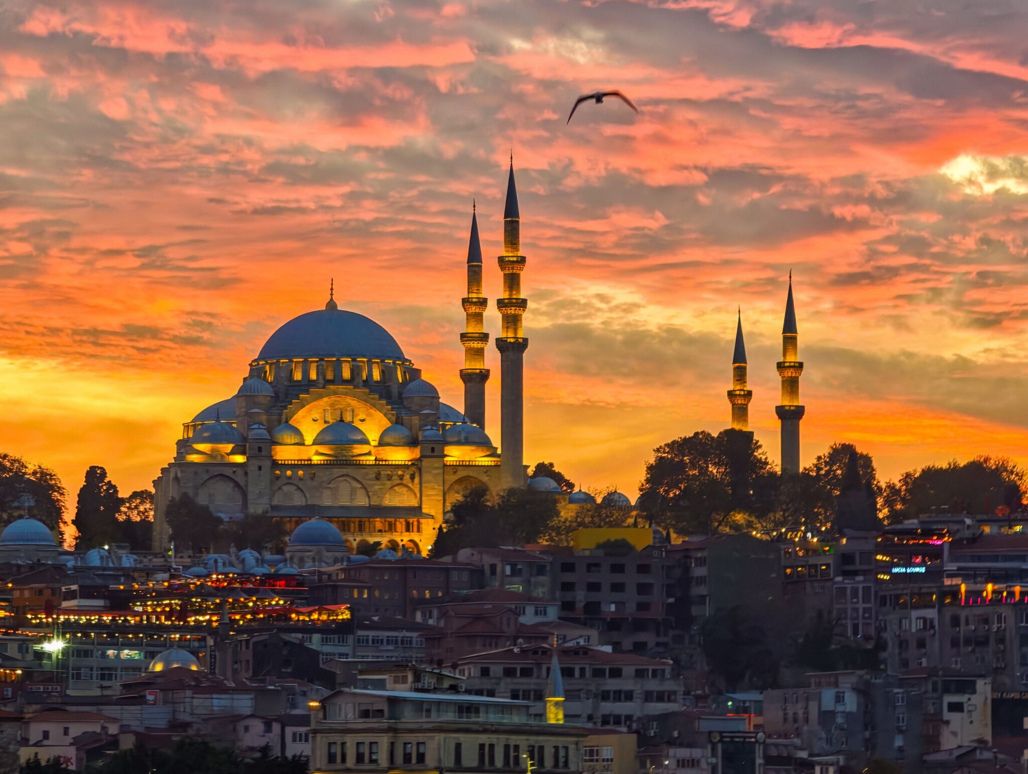 المؤتمر العالمي للشباب حول القيادة المناخية في إسطنبول 2026